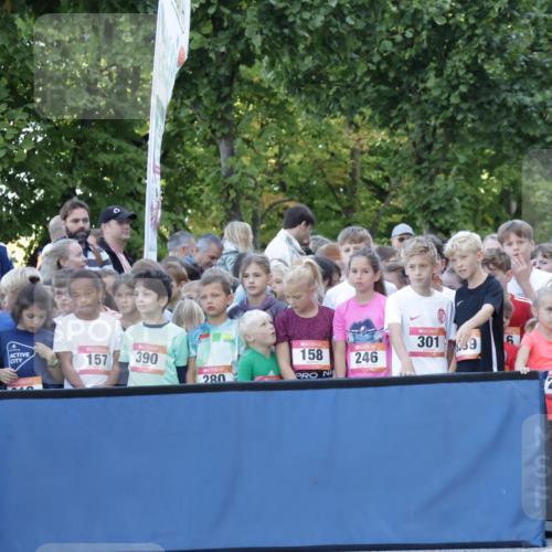 06.09.2026 - CURREX Alsterlauf Yannick Fuchs http://msf.ph/oto/10228233 06.09.2026 10:46:45 Ziel  meine-sportfotos.de