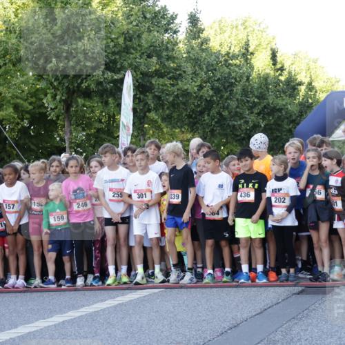 06.09.2026 - CURREX Alsterlauf Yannick Fuchs http://msf.ph/oto/10228255 06.09.2026 10:48:18 Ziel  meine-sportfotos.de