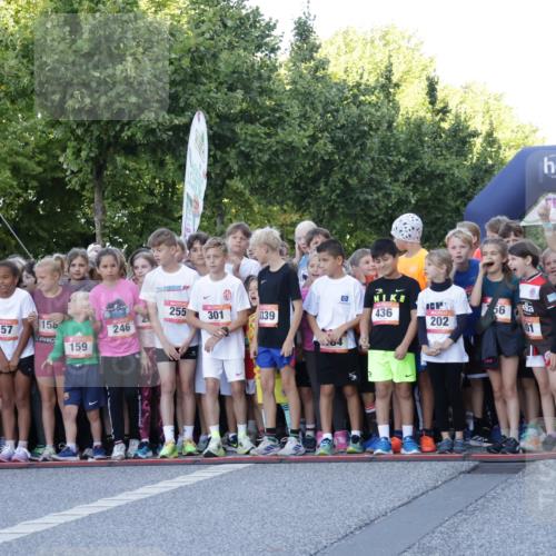 06.09.2026 - CURREX Alsterlauf Yannick Fuchs http://msf.ph/oto/10228256 06.09.2026 10:48:18 Ziel  meine-sportfotos.de
