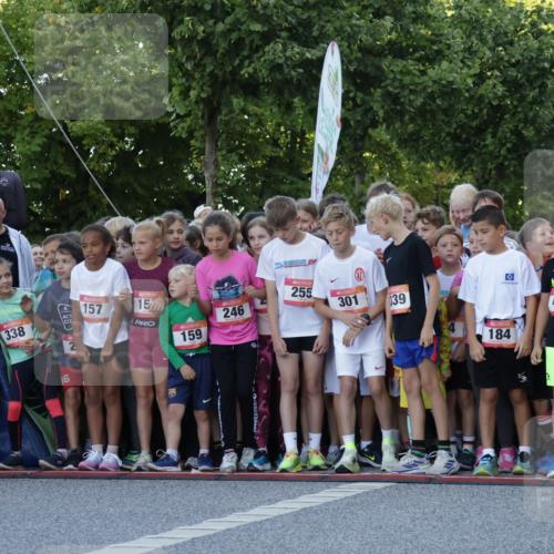 06.09.2026 - CURREX Alsterlauf Yannick Fuchs http://msf.ph/oto/10228257 06.09.2026 10:48:19 Ziel  meine-sportfotos.de