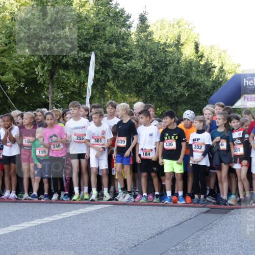 06.09.2026 - CURREX Alsterlauf Yannick Fuchs http://msf.ph/oto/10228265 06.09.2026 10:48:23 Ziel  meine-sportfotos.de