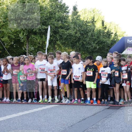 06.09.2026 - CURREX Alsterlauf Yannick Fuchs http://msf.ph/oto/10228266 06.09.2026 10:48:23 Ziel  meine-sportfotos.de