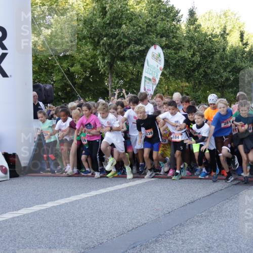 06.09.2026 - CURREX Alsterlauf Yannick Fuchs http://msf.ph/oto/10228271 06.09.2026 10:48:41 Ziel  meine-sportfotos.de