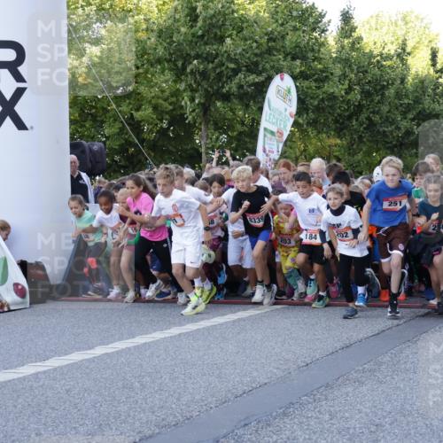 06.09.2026 - CURREX Alsterlauf Yannick Fuchs http://msf.ph/oto/10228272 06.09.2026 10:48:41 Ziel  meine-sportfotos.de