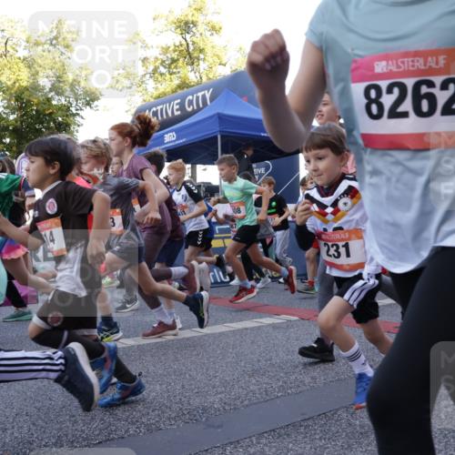 06.09.2026 - CURREX Alsterlauf Yannick Fuchs http://msf.ph/oto/10228285 06.09.2026 10:48:45 Ziel  meine-sportfotos.de