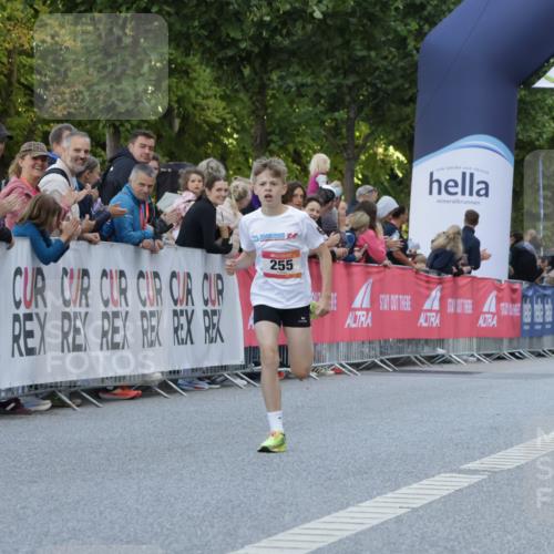 06.09.2026 - CURREX Alsterlauf Yannick Fuchs http://msf.ph/oto/10228289 06.09.2026 10:52:02 Ziel 255 meine-sportfotos.de