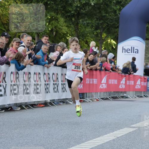 06.09.2026 - CURREX Alsterlauf Yannick Fuchs http://msf.ph/oto/10228290 06.09.2026 10:52:03 Ziel 255 meine-sportfotos.de