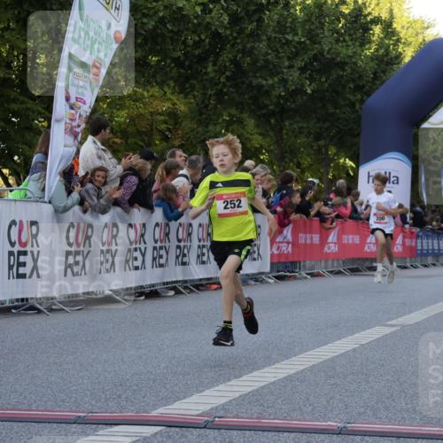 06.09.2026 - CURREX Alsterlauf Yannick Fuchs http://msf.ph/oto/10228314 06.09.2026 10:52:16 Ziel 200, 252, 301, 8339 meine-sportfotos.de