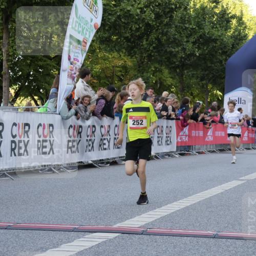 06.09.2026 - CURREX Alsterlauf Yannick Fuchs http://msf.ph/oto/10228315 06.09.2026 10:52:17 Ziel 200, 252, 301, 8339 meine-sportfotos.de