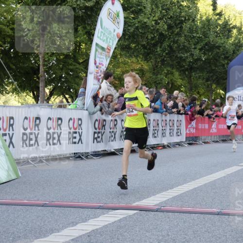 06.09.2026 - CURREX Alsterlauf Yannick Fuchs http://msf.ph/oto/10228316 06.09.2026 10:52:17 Ziel 200, 252, 301, 8339 meine-sportfotos.de