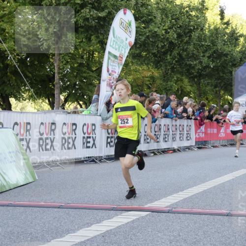 06.09.2026 - CURREX Alsterlauf Yannick Fuchs http://msf.ph/oto/10228317 06.09.2026 10:52:17 Ziel 200, 252, 301, 8339 meine-sportfotos.de