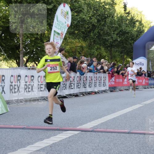 06.09.2026 - CURREX Alsterlauf Yannick Fuchs http://msf.ph/oto/10228318 06.09.2026 10:52:17 Ziel 200, 252, 301, 8339 meine-sportfotos.de