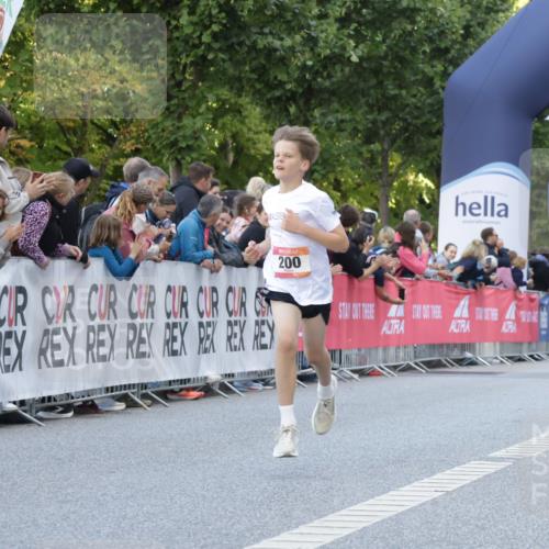 06.09.2026 - CURREX Alsterlauf Yannick Fuchs http://msf.ph/oto/10228319 06.09.2026 10:52:19 Ziel 200, 252, 301, 8339 meine-sportfotos.de