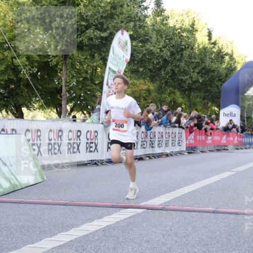 06.09.2026 - CURREX Alsterlauf Yannick Fuchs http://msf.ph/oto/10228322 06.09.2026 10:52:20 Ziel 200, 252, 301, 8339 meine-sportfotos.de