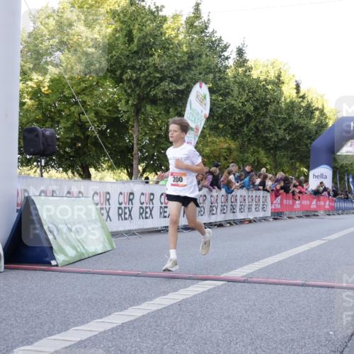 06.09.2026 - CURREX Alsterlauf Yannick Fuchs http://msf.ph/oto/10228323 06.09.2026 10:52:20 Ziel 200, 252, 301, 8339 meine-sportfotos.de
