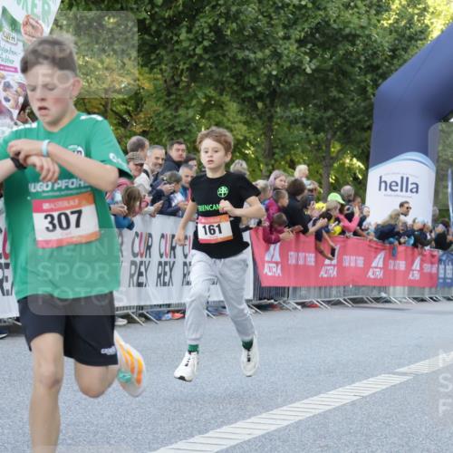 06.09.2026 - CURREX Alsterlauf Yannick Fuchs http://msf.ph/oto/10228346 06.09.2026 10:52:36 Ziel 161, 174, 213, 307, 316, 409 meine-sportfotos.de