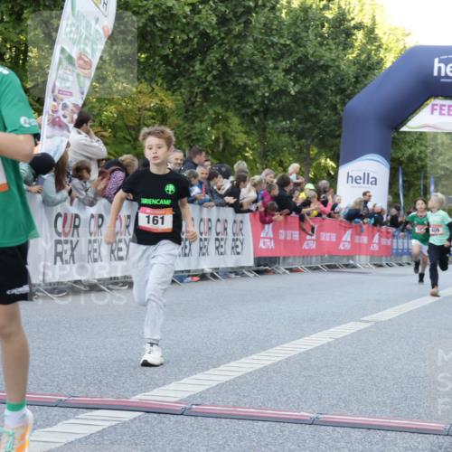 06.09.2026 - CURREX Alsterlauf Yannick Fuchs http://msf.ph/oto/10228349 06.09.2026 10:52:36 Ziel 161, 174, 213, 307, 316, 409 meine-sportfotos.de