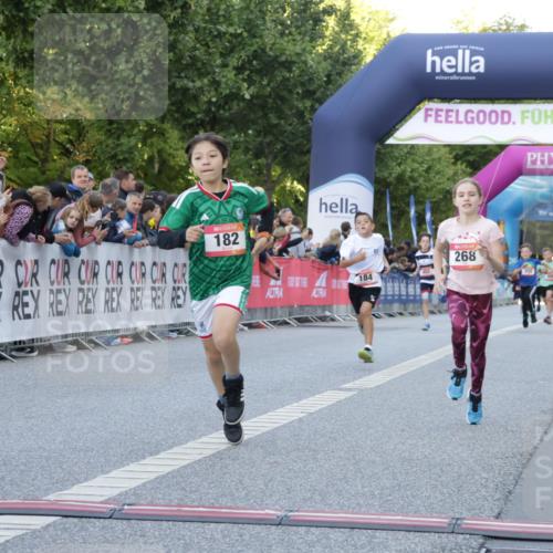 06.09.2026 - CURREX Alsterlauf Yannick Fuchs http://msf.ph/oto/10228358 06.09.2026 10:52:40 Ziel 161, 174, 182, 184, 213, 268, 307, 316, 409 meine-sportfotos.de