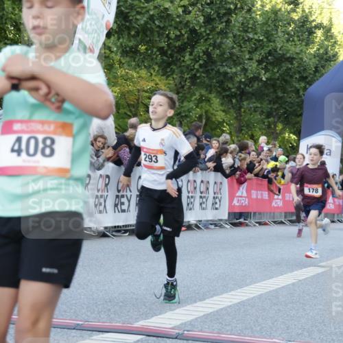 06.09.2026 - CURREX Alsterlauf Yannick Fuchs http://msf.ph/oto/10228388 06.09.2026 10:52:49 Ziel 178, 182, 184, 268, 281, 293, 355, 374, 388, 408, 452 meine-sportfotos.de