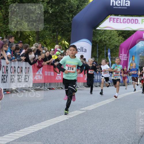 06.09.2026 - CURREX Alsterlauf Yannick Fuchs http://msf.ph/oto/10228393 06.09.2026 10:52:51 Ziel 151, 178, 184, 222, 223, 250, 280, 281, 293, 355, 374, 388, 408, 452 meine-sportfotos.de