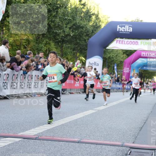 06.09.2026 - CURREX Alsterlauf Yannick Fuchs http://msf.ph/oto/10228398 06.09.2026 10:52:52 Ziel 151, 178, 222, 223, 250, 280, 281, 293, 355, 374, 388, 408, 452 meine-sportfotos.de