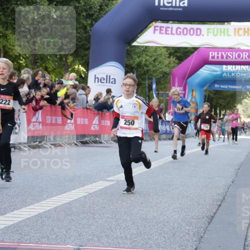 06.09.2026 - CURREX Alsterlauf Yannick Fuchs http://msf.ph/oto/10228404 06.09.2026 10:52:54 Ziel 151, 178, 222, 223, 250, 251, 280, 293, 355, 374, 388, 408 meine-sportfotos.de