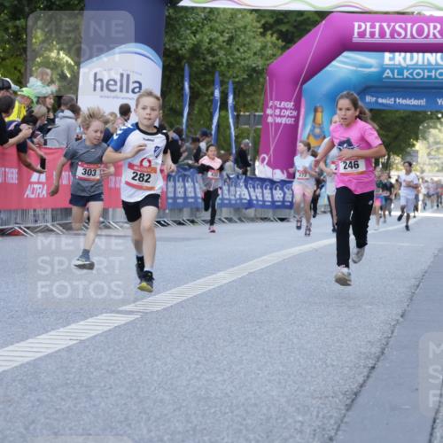 06.09.2026 - CURREX Alsterlauf Yannick Fuchs http://msf.ph/oto/10228426 06.09.2026 10:53:00 Ziel 151, 158, 222, 223, 246, 250, 251, 280, 282, 303, 374, 388, 430 meine-sportfotos.de