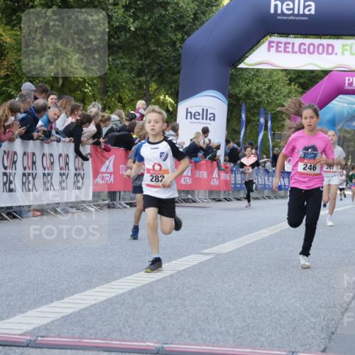 06.09.2026 - CURREX Alsterlauf Yannick Fuchs http://msf.ph/oto/10228429 06.09.2026 10:53:01 Ziel 151, 158, 222, 223, 246, 250, 251, 280, 282, 303, 374, 430 meine-sportfotos.de