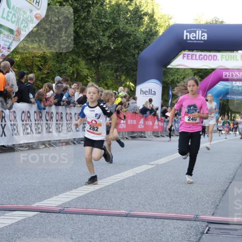 06.09.2026 - CURREX Alsterlauf Yannick Fuchs http://msf.ph/oto/10228433 06.09.2026 10:53:02 Ziel 151, 158, 222, 223, 246, 247, 250, 251, 280, 282, 303, 430 meine-sportfotos.de