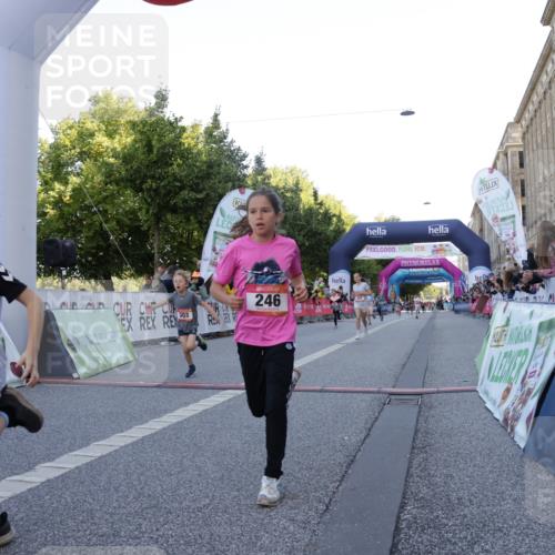 06.09.2026 - CURREX Alsterlauf Yannick Fuchs http://msf.ph/oto/10228437 06.09.2026 10:53:03 Ziel 158, 222, 246, 247, 250, 251, 280, 282, 303, 430, 432 meine-sportfotos.de
