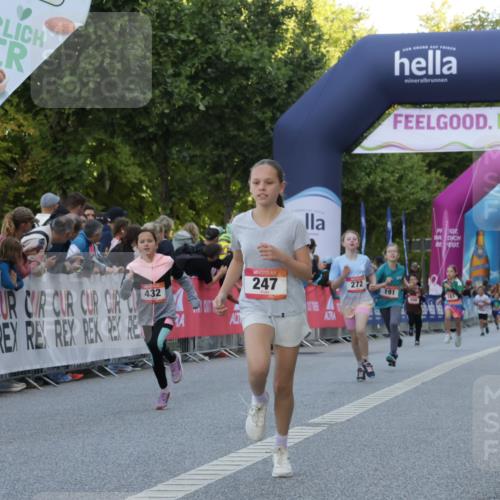 06.09.2026 - CURREX Alsterlauf Yannick Fuchs http://msf.ph/oto/10228441 06.09.2026 10:53:05 Ziel 158, 168, 246, 247, 251, 272, 282, 303, 430, 432 meine-sportfotos.de