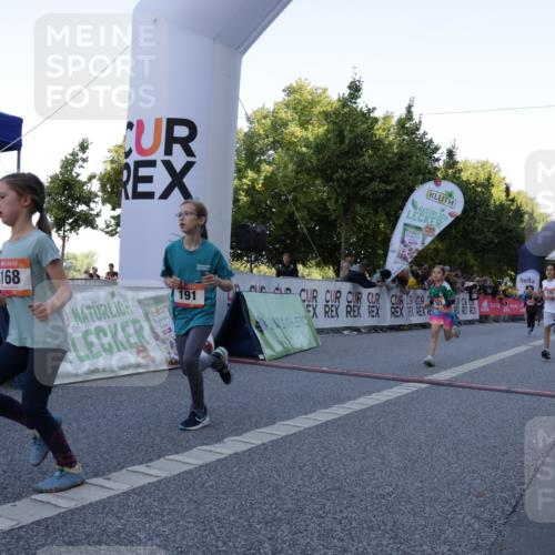 06.09.2026 - CURREX Alsterlauf Yannick Fuchs http://msf.ph/oto/10228456 06.09.2026 10:53:11 Ziel 168, 170, 183, 246, 247, 272, 303, 309, 432, 8182 meine-sportfotos.de