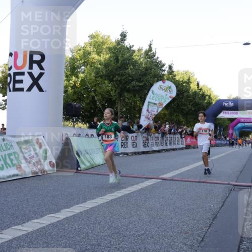 06.09.2026 - CURREX Alsterlauf Yannick Fuchs http://msf.ph/oto/10228459 06.09.2026 10:53:11 Ziel 168, 170, 183, 246, 247, 272, 303, 309, 432, 8182 meine-sportfotos.de