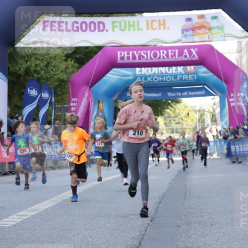 06.09.2026 - CURREX Alsterlauf Yannick Fuchs http://msf.ph/oto/10228476 06.09.2026 10:53:17 Ziel 170, 175, 183, 204, 210, 272, 309, 8182, 8220, 8262 meine-sportfotos.de