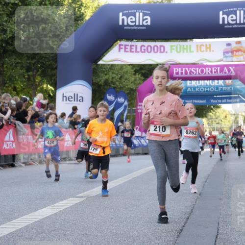 06.09.2026 - CURREX Alsterlauf Yannick Fuchs http://msf.ph/oto/10228479 06.09.2026 10:53:19 Ziel 170, 175, 183, 186, 204, 210, 309, 397, 420, 8182, 8220, 8262 meine-sportfotos.de