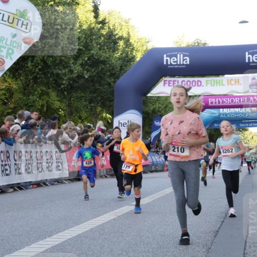 06.09.2026 - CURREX Alsterlauf Yannick Fuchs http://msf.ph/oto/10228480 06.09.2026 10:53:19 Ziel 170, 175, 183, 186, 204, 210, 309, 397, 420, 8182, 8220, 8262 meine-sportfotos.de