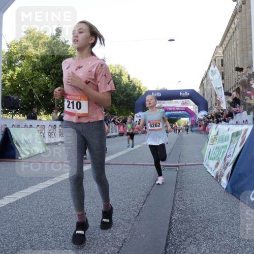 06.09.2026 - CURREX Alsterlauf Yannick Fuchs http://msf.ph/oto/10228482 06.09.2026 10:53:21 Ziel 175, 186, 204, 210, 227, 309, 317, 397, 420, 8182, 8220, 8262 meine-sportfotos.de