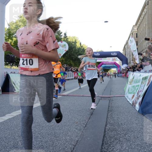 06.09.2026 - CURREX Alsterlauf Yannick Fuchs http://msf.ph/oto/10228483 06.09.2026 10:53:21 Ziel 175, 186, 204, 210, 227, 309, 317, 397, 420, 8182, 8220, 8262 meine-sportfotos.de