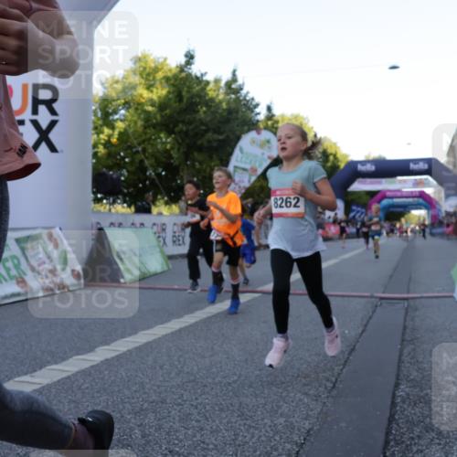 06.09.2026 - CURREX Alsterlauf Yannick Fuchs http://msf.ph/oto/10228485 06.09.2026 10:53:22 Ziel 175, 186, 204, 210, 227, 233, 309, 317, 397, 420, 8182, 8220, 8262 meine-sportfotos.de