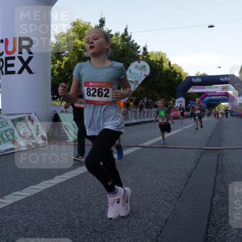 06.09.2026 - CURREX Alsterlauf Yannick Fuchs http://msf.ph/oto/10228487 06.09.2026 10:53:22 Ziel 175, 186, 204, 210, 227, 233, 309, 317, 397, 420, 8182, 8220, 8262 meine-sportfotos.de