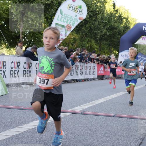 06.09.2026 - CURREX Alsterlauf Yannick Fuchs http://msf.ph/oto/10228488 06.09.2026 10:53:23 Ziel 175, 186, 204, 210, 227, 233, 317, 397, 420, 8182, 8220, 8262 meine-sportfotos.de