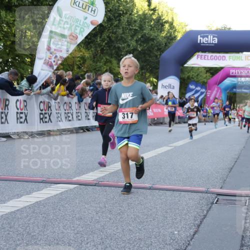 06.09.2026 - CURREX Alsterlauf Yannick Fuchs http://msf.ph/oto/10228491 06.09.2026 10:53:24 Ziel 175, 186, 204, 210, 227, 233, 314, 317, 336, 397, 420, 8124, 8220, 8262 meine-sportfotos.de