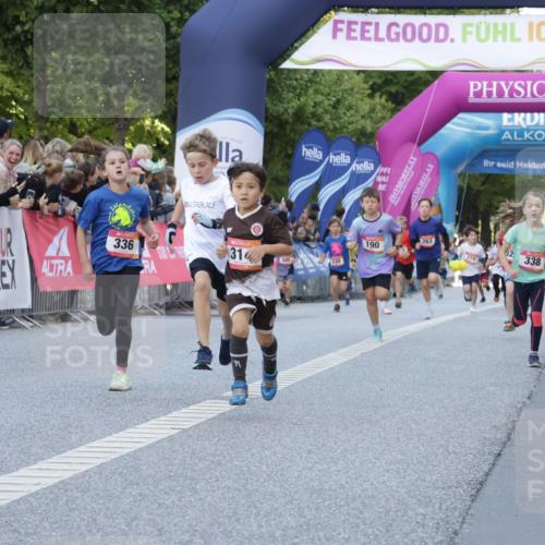 06.09.2026 - CURREX Alsterlauf Yannick Fuchs http://msf.ph/oto/10228494 06.09.2026 10:53:26 Ziel 175, 186, 210, 227, 233, 275, 314, 317, 336, 338, 397, 420, 8124, 8220, 8262 meine-sportfotos.de