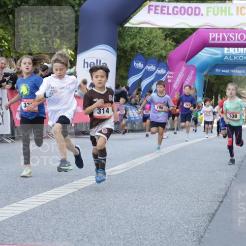 06.09.2026 - CURREX Alsterlauf Yannick Fuchs http://msf.ph/oto/10228496 06.09.2026 10:53:26 Ziel 175, 186, 210, 227, 233, 275, 314, 317, 336, 338, 397, 420, 8124, 8220, 8262 meine-sportfotos.de