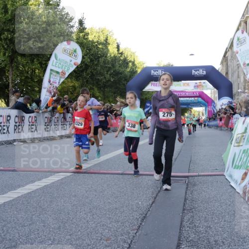 06.09.2026 - CURREX Alsterlauf Yannick Fuchs http://msf.ph/oto/10228504 06.09.2026 10:53:30 Ziel 186, 190, 227, 233, 263, 274, 275, 314, 317, 336, 338, 397, 402, 420, 8124, 8180, 8181, 8329 meine-sportfotos.de