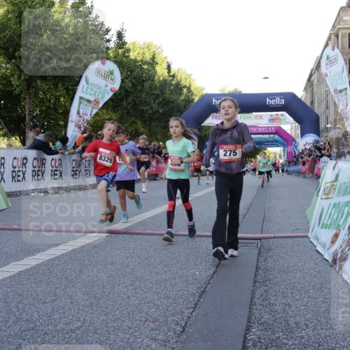 06.09.2026 - CURREX Alsterlauf Yannick Fuchs http://msf.ph/oto/10228505 06.09.2026 10:53:31 Ziel 190, 227, 233, 263, 266, 274, 275, 306, 314, 317, 336, 338, 402, 8124, 8180, 8181, 8329 meine-sportfotos.de