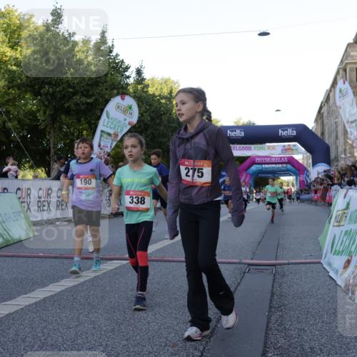 06.09.2026 - CURREX Alsterlauf Yannick Fuchs http://msf.ph/oto/10228507 06.09.2026 10:53:32 Ziel 190, 227, 233, 263, 266, 274, 275, 306, 314, 317, 336, 338, 402, 415, 8124, 8180, 8181, 8329 meine-sportfotos.de