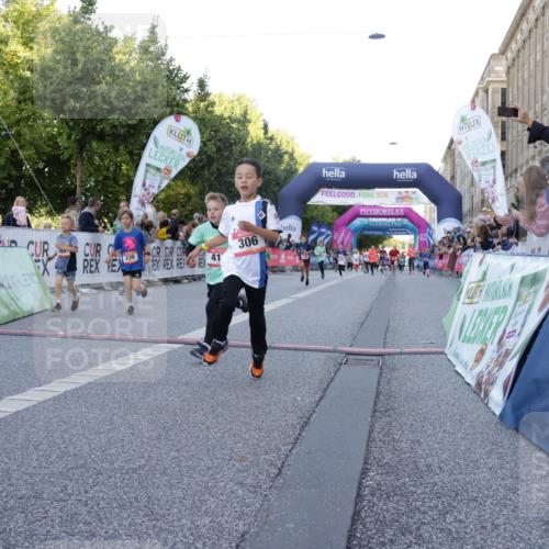 06.09.2026 - CURREX Alsterlauf Yannick Fuchs http://msf.ph/oto/10228518 06.09.2026 10:53:36 Ziel 159, 190, 219, 263, 265, 266, 274, 275, 306, 314, 330, 336, 338, 402, 415, 445, 8124, 8180, 8181, 8329 meine-sportfotos.de