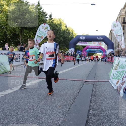 06.09.2026 - CURREX Alsterlauf Yannick Fuchs http://msf.ph/oto/10228520 06.09.2026 10:53:36 Ziel 159, 190, 219, 263, 265, 266, 274, 275, 306, 314, 330, 336, 338, 402, 415, 445, 8124, 8180, 8181, 8329 meine-sportfotos.de