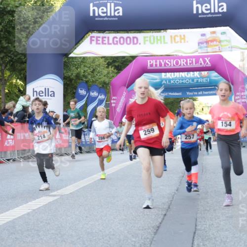 06.09.2026 - CURREX Alsterlauf Yannick Fuchs http://msf.ph/oto/10228531 06.09.2026 10:53:40 Ziel 154, 159, 214, 219, 257, 259, 263, 265, 266, 274, 286, 306, 330, 401, 402, 415, 445, 8180, 8181 meine-sportfotos.de